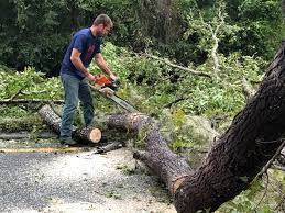 Best Leaf Removal  in Boardman, OR